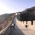 Picture of T3 Noguchi